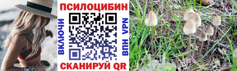 Псилоцибиновые грибы прущие грибы  площадка официальный сайт  Обь 